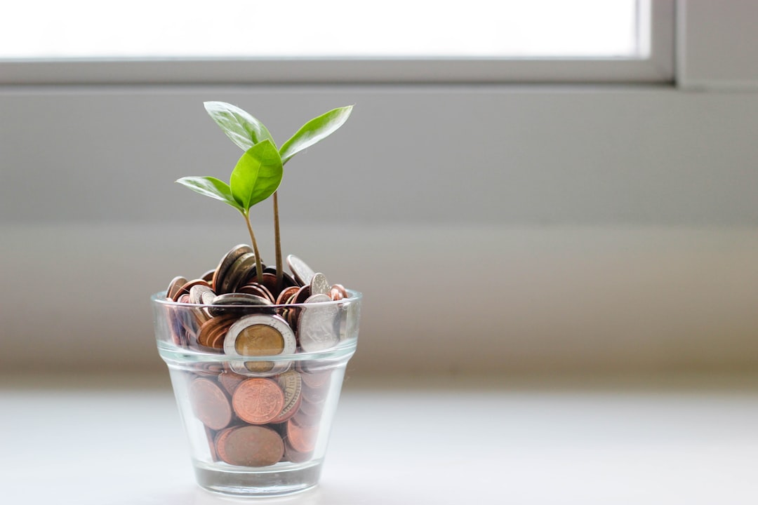 Creating a Realistic Retirement Budget for Life in Thailand